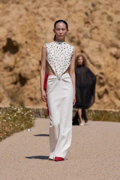 Look 29